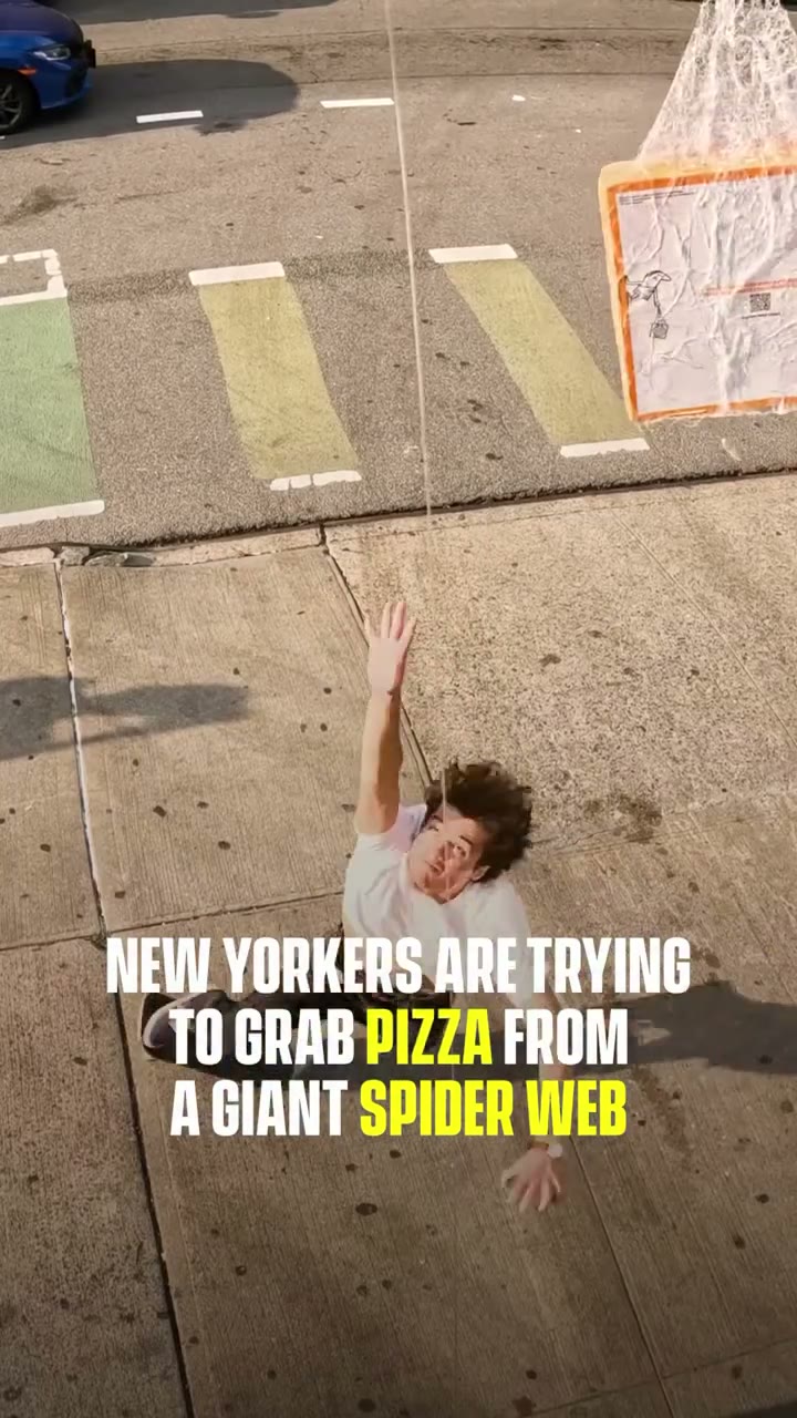 A New Yorker going after a webbed pizza box
